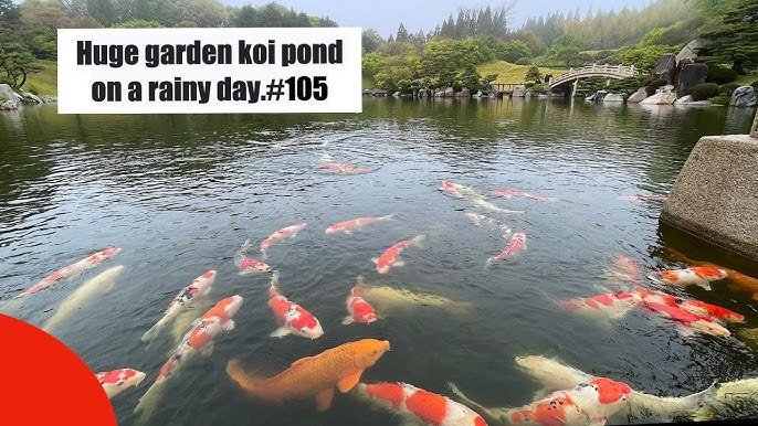 🏞️ 세 가지 경치의 정원 (산케이엔) 이미지 8